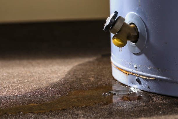 Best 24/7 water damage repair  in Elmont, NY