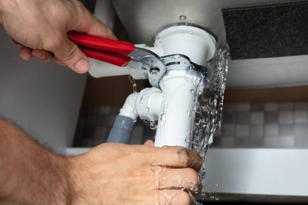 Best Ceiling water damage repair  in Elmont, NY