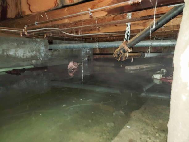 Reliable Elmont, NY Water damage restoration Solutions