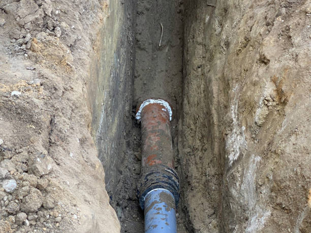 Best Local water damage restoration  in Elmont, NY
