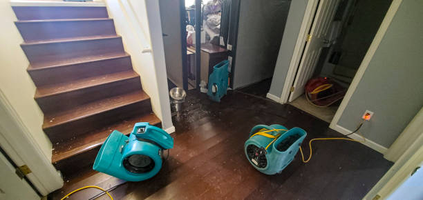 Best Basement water damage restoration  in Elmont, NY