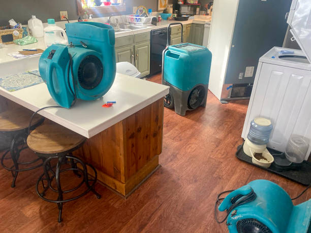 Water damage restoration experts in Elmont, NY
