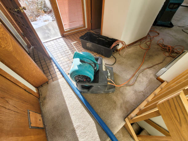 Best Fire Damage Restoration  in Elmont, NY