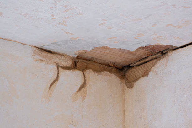 Best Commercial water damage restoration  in Elmont, NY
