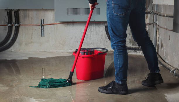 Best Water damage restoration experts  in Elmont, NY
