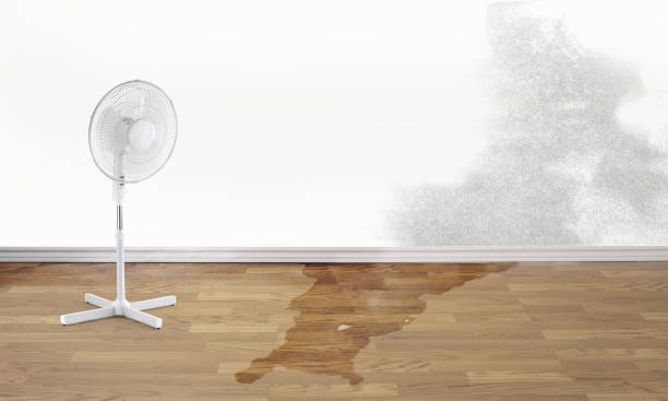 Best Emergency water damage restoration  in Elmont, NY
