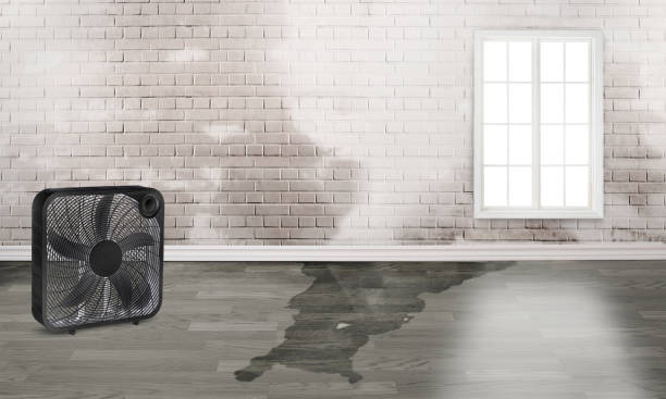 Best Emergency water damage restoration  in Elmont, NY