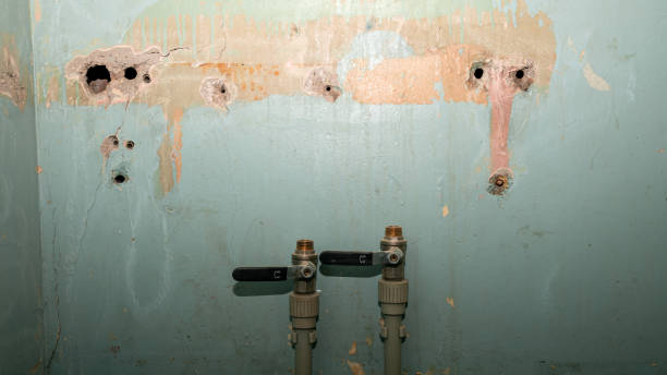 Best Professional water damage repair  in Elmont, NY