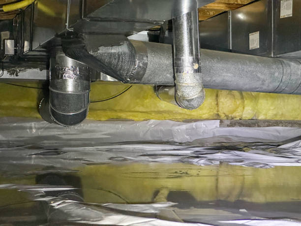 Best Water damage restoration near me  in Elmont, NY