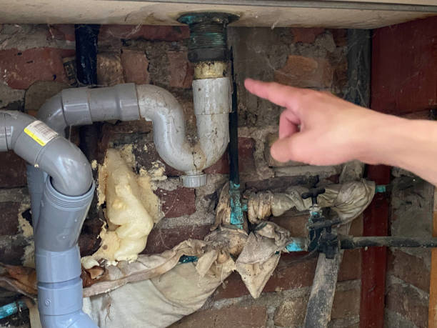 Best Commercial water damage restoration  in Elmont, NY