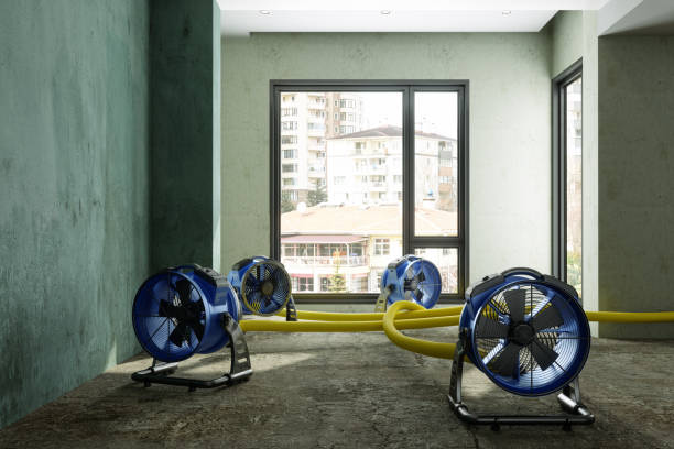 Best Commercial water damage restoration  in Elmont, NY