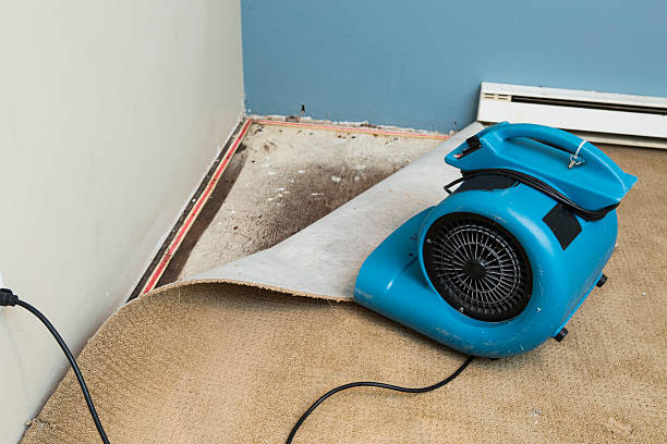 Best Flood restoration services  in Elmont, NY